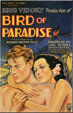 Bird of Paradise