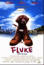 Fluke
