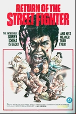 Return of the Street Fighter