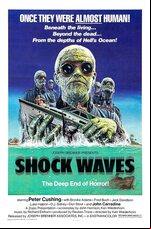Shock Waves